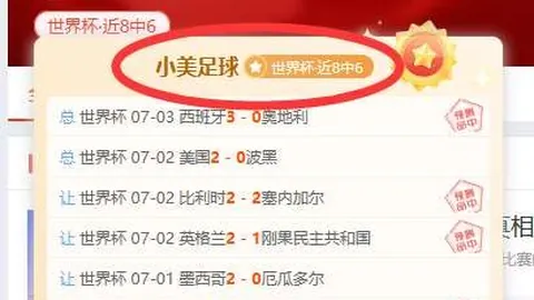 2026年印度赛事盘点7胜6负的精彩瞬间